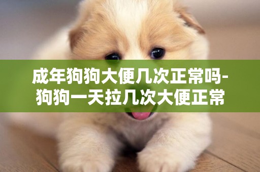 成年狗狗大便幾次正常嗎-狗狗一天拉幾次大便正常