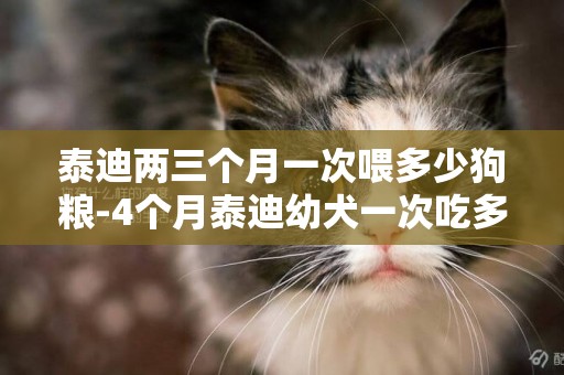泰迪兩三個月一次喂多少狗糧-4個月泰迪幼犬一次吃多少狗糧