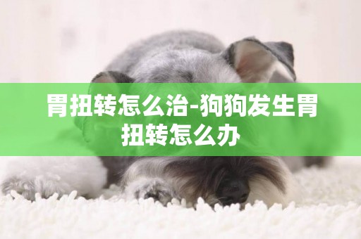 胃扭轉怎么治-狗狗發生胃扭轉怎么辦
