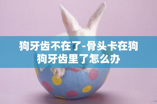 狗牙齒不在了-骨頭卡在狗狗牙齒里了怎么辦