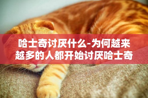 哈士奇討厭什么-為何越來越多的人都開始討厭哈士奇