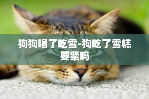 狗狗喝了吃雪-狗吃了雪糕要緊嗎