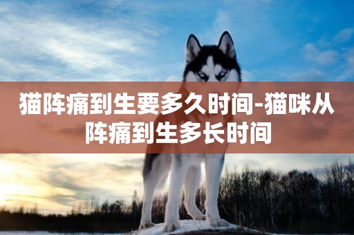 貓陣痛到生要多久時間-貓咪從陣痛到生多長時間