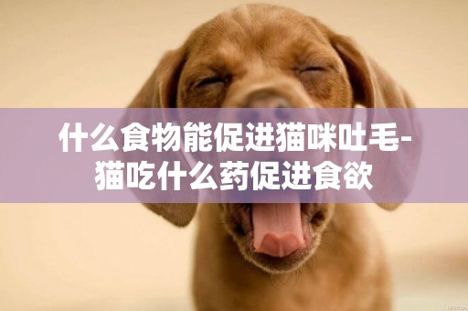什么食物能促進貓咪吐毛-貓吃什么藥促進食欲