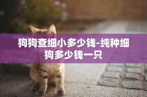 狗狗查細小多少錢-純種細狗多少錢一只