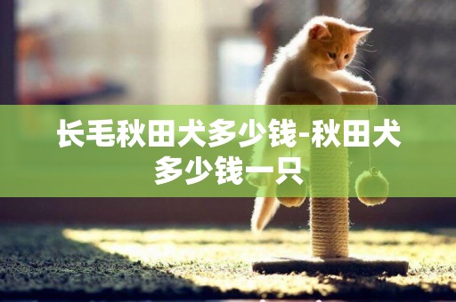 長毛秋田犬多少錢-秋田犬多少錢一只