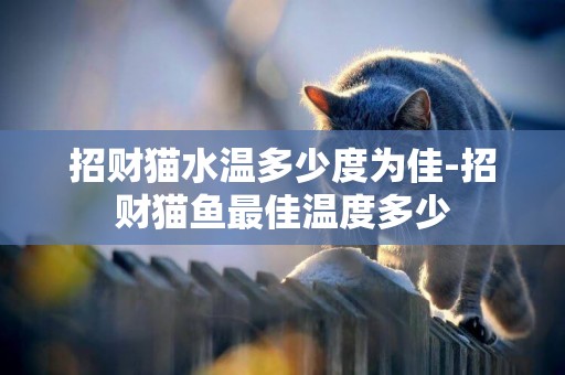 招財貓水溫多少度為佳-招財貓魚最佳溫度多少