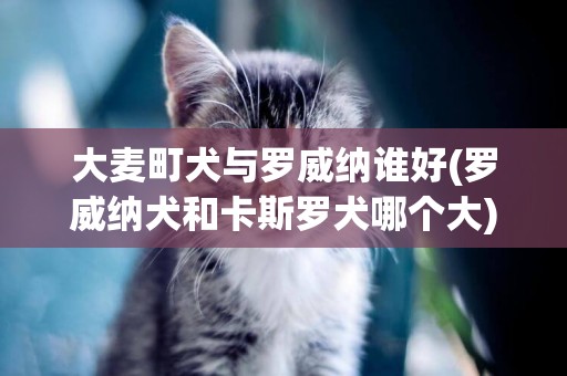 大麥町犬與羅威納誰好(羅威納犬和卡斯羅犬哪個大)