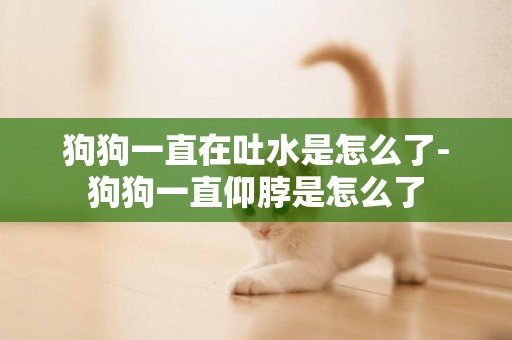狗狗一直在吐水是怎么了-狗狗一直仰脖是怎么了