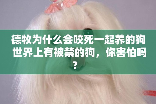 德牧為什么會咬死一起養的狗 世界上有被禁的狗，你害怕嗎？ 