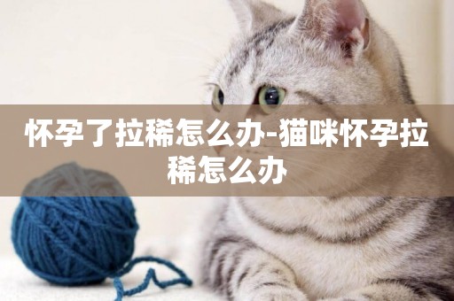 懷孕了拉稀怎么辦-貓咪懷孕拉稀怎么辦