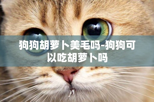 狗狗胡蘿卜美毛嗎-狗狗可以吃胡蘿卜嗎
