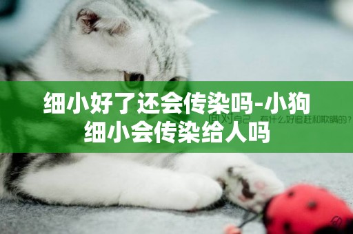 細小好了還會傳染嗎-小狗細小會傳染給人嗎