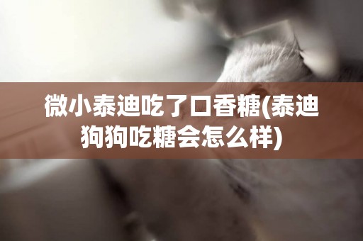 微小泰迪吃了口香糖(泰迪狗狗吃糖會怎么樣)