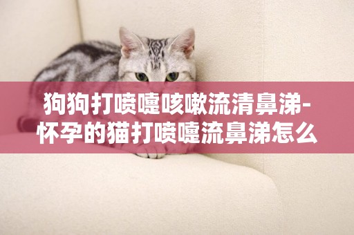 狗狗打噴嚏咳嗽流清鼻涕-懷孕的貓打噴嚏流鼻涕怎么辦吃什么藥