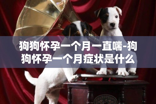 狗狗懷孕一個月一直喘-狗狗懷孕一個月癥狀是什么