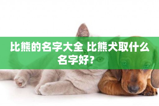 比熊的名字大全 比熊犬取什么名字好？ 