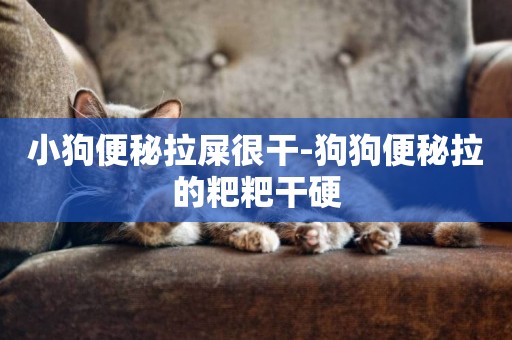 小狗便秘拉屎很干-狗狗便秘拉的粑粑干硬