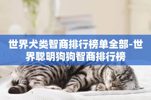 世界犬類智商排行榜單全部-世界聰明狗狗智商排行榜