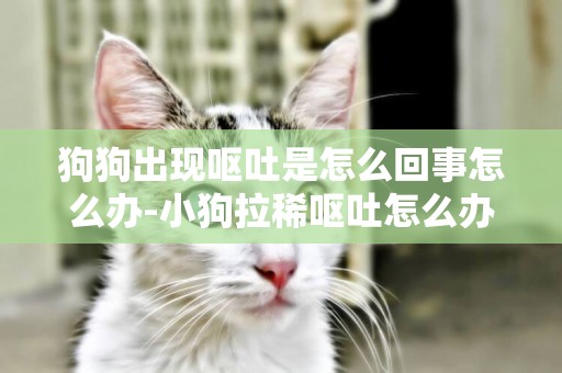 狗狗出現嘔吐是怎么回事怎么辦-小狗拉稀嘔吐怎么辦