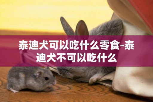 泰迪犬可以吃什么零食-泰迪犬不可以吃什么
