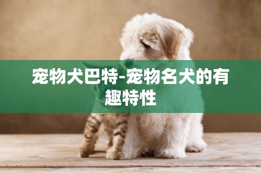 寵物犬巴特-寵物名犬的有趣特性