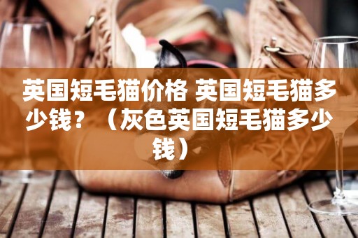 英國短毛貓價格 英國短毛貓多少錢？（灰色英國短毛貓多少錢） 