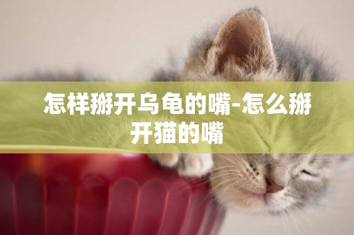 怎樣掰開烏龜的嘴-怎么掰開貓的嘴