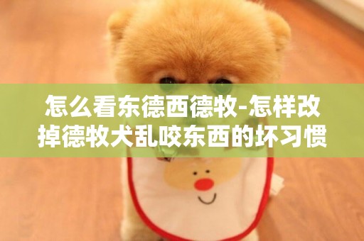 怎么看東德西德牧-怎樣改掉德牧犬亂咬東西的壞習慣