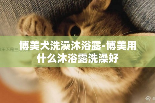 博美犬洗澡沐浴露-博美用什么沐浴露洗澡好