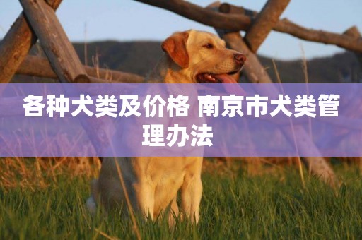 各種犬類及價格 南京市犬類管理辦法 