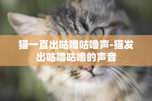 貓一直出咕嚕咕嚕聲-貓發出咕嚕咕嚕的聲音