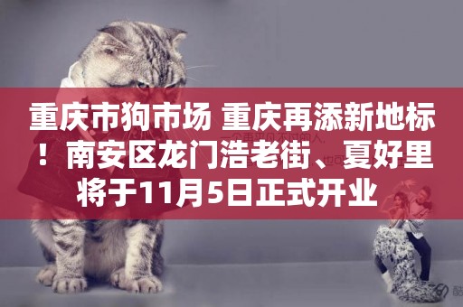重慶市狗市場 重慶再添新地標！南安區龍門浩老街、夏好里將于11月5日正式開業 