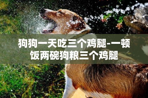 狗狗一天吃三個雞腿-一頓飯兩碗狗糧三個雞腿