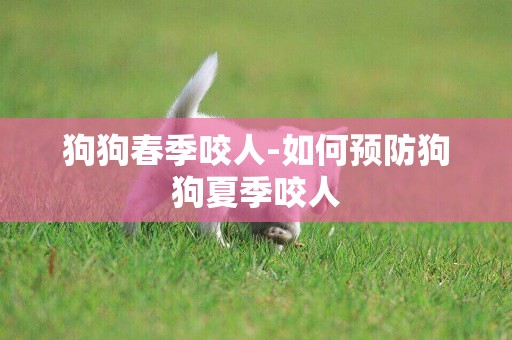 狗狗春季咬人-如何預防狗狗夏季咬人