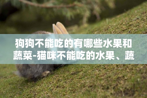 狗狗不能吃的有哪些水果和蔬菜-貓咪不能吃的水果、蔬菜有哪些
