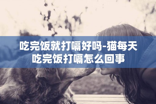 吃完飯就打嗝好嗎-貓每天吃完飯打嗝怎么回事