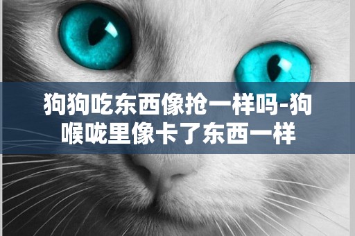 狗狗吃東西像搶一樣嗎-狗喉嚨里像卡了東西一樣