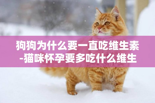 狗狗為什么要一直吃維生素-貓咪懷孕要多吃什么維生素