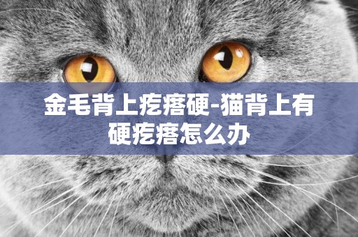 金毛背上疙瘩硬-貓背上有硬疙瘩怎么辦