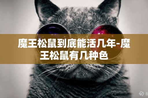 魔王松鼠到底能活幾年-魔王松鼠有幾種色