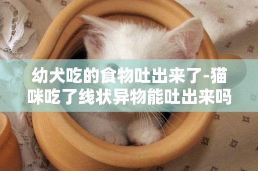 幼犬吃的食物吐出來了-貓咪吃了線狀異物能吐出來嗎