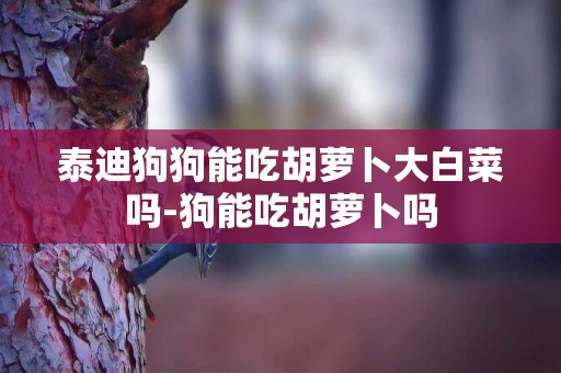 泰迪狗狗能吃胡蘿卜大白菜嗎-狗能吃胡蘿卜嗎
