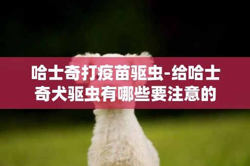 哈士奇打疫苗驅蟲-給哈士奇犬驅蟲有哪些要注意的