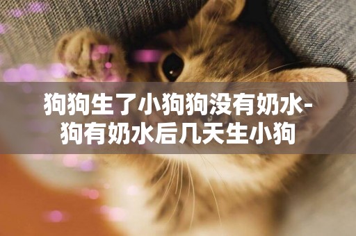 狗狗生了小狗狗沒有奶水-狗有奶水后幾天生小狗