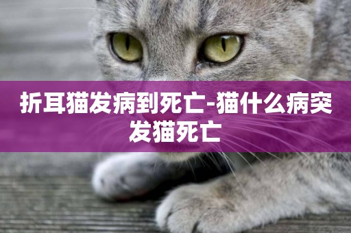 折耳貓發病到死亡-貓什么病突發貓死亡