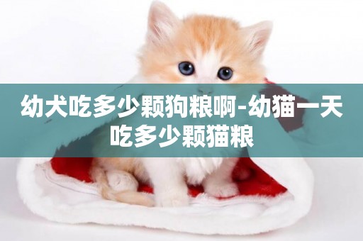 幼犬吃多少顆狗糧啊-幼貓一天吃多少顆貓糧