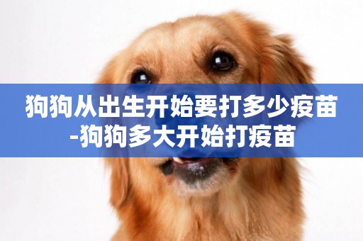 狗狗從出生開始要打多少疫苗-狗狗多大開始打疫苗