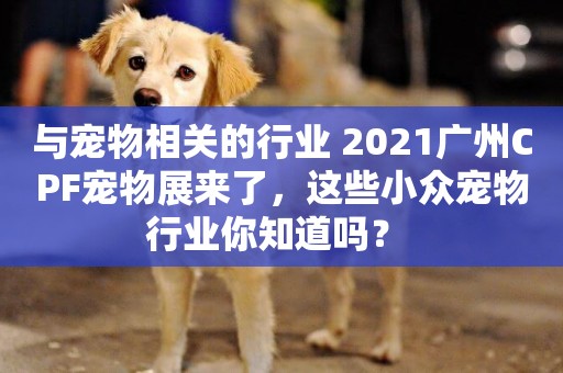與寵物相關的行業 2021廣州CPF寵物展來了，這些小眾寵物行業你知道嗎？ 
