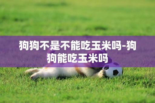 狗狗不是不能吃玉米嗎-狗狗能吃玉米嗎